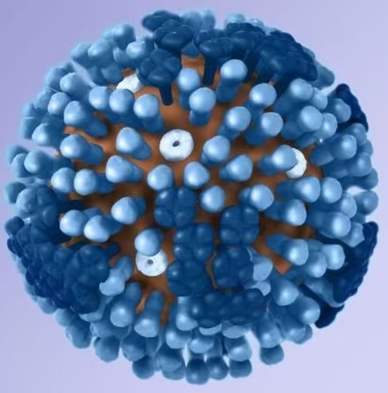 2026年2月流感高峰预警：儿科急诊爆满，达拉斯家长别慌