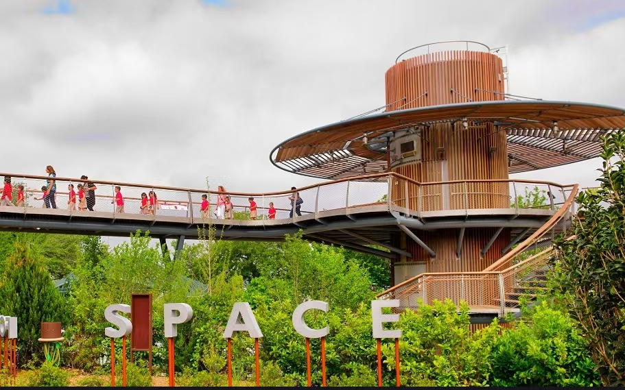 达拉斯育儿新图景：从自然探索到经济赋能