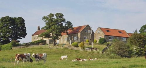 外资购美农地受限！USDA新规+多州加码，绿卡成关键