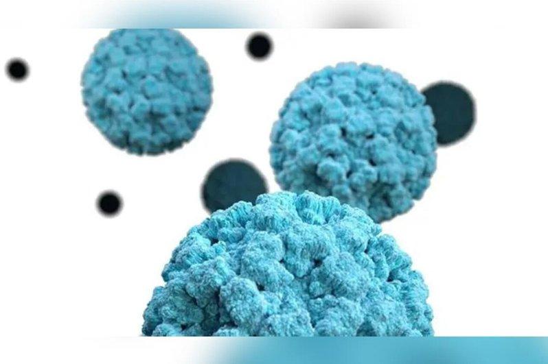 紧急！美国多州海鲜因诺罗病毒被召回