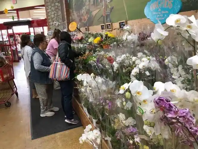 南加华人注意！多家熟悉的餐厅、超市因鼠患等问题被勒令停业