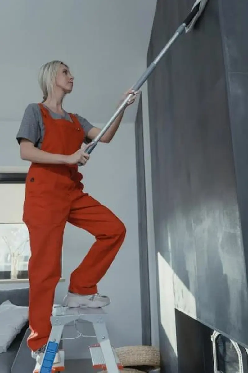 加州家务劳工盗薪问题凸显