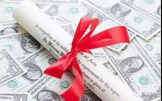 南加州台湾大学校友会2026年度奖学金计划启动